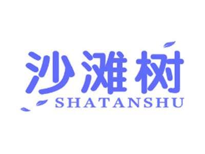 沙滩树