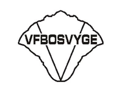 VFBOSVYGE