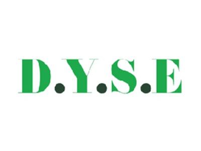 D.Y.S.E