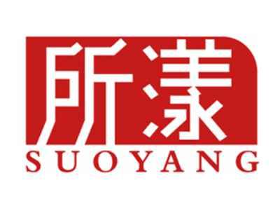 所漾