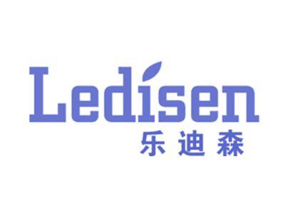 乐迪森