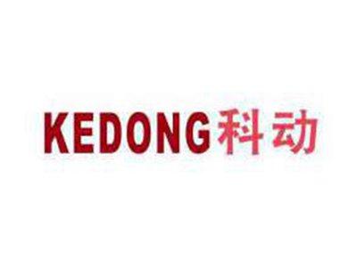 科动