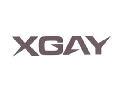 XGAY