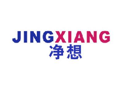 净想
