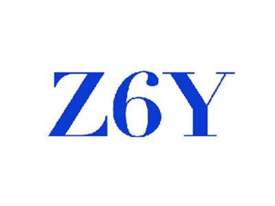 Z6Y