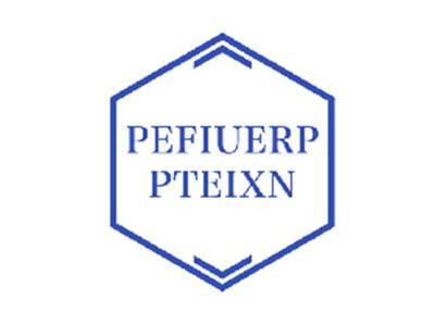 PEFIUERPPTEIXN