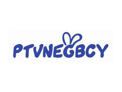 PTVNEGBCY