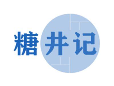 糖井记
