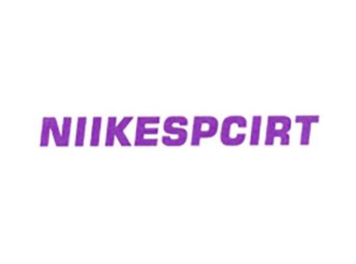 NIIKESPCIRT