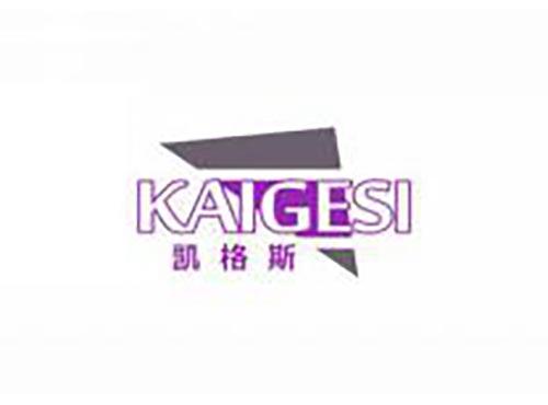 凯格斯