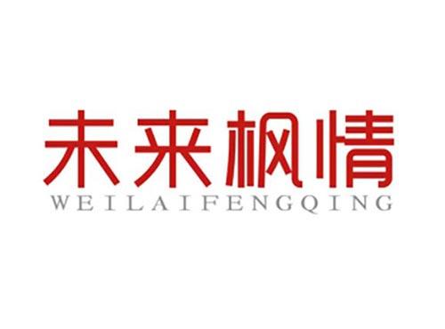 未来枫情