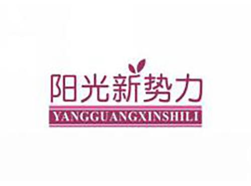 阳光新势力