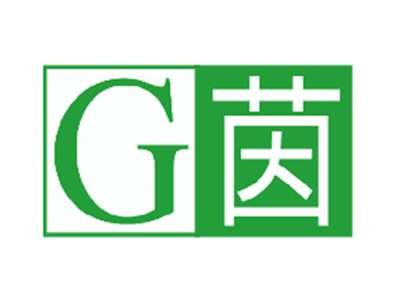 G茵