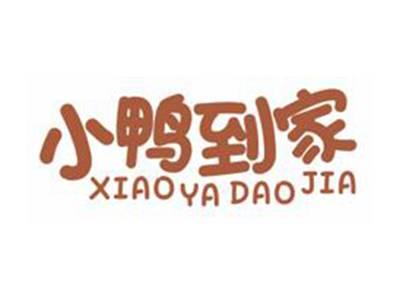 小鸭到家