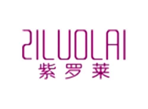 紫罗莱ZILUOLAI