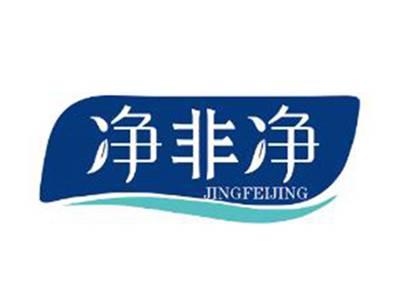 净非净