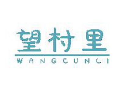 望村里