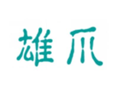雄爪