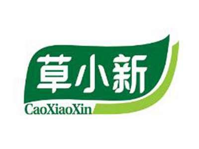 草小新