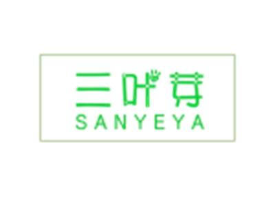 三叶芽