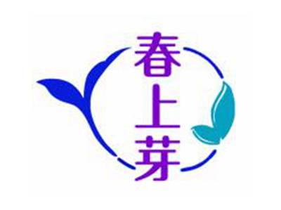 春上芽