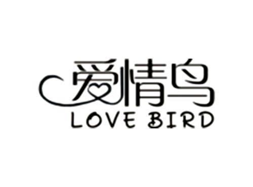爱情鸟    LOVE BIRD