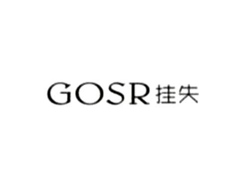 挂失GOSR