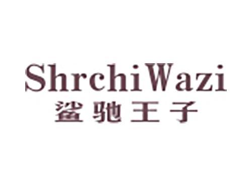 鲨驰王子ShrchiWazi
