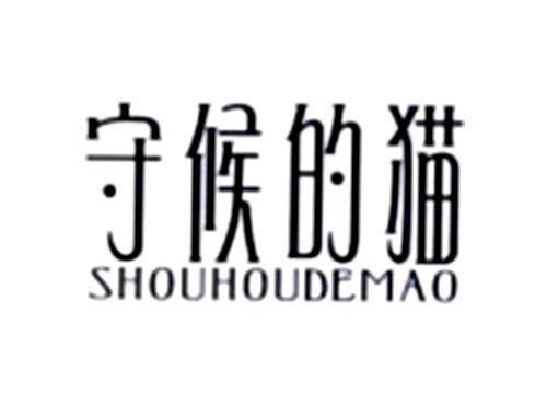 守候的猫