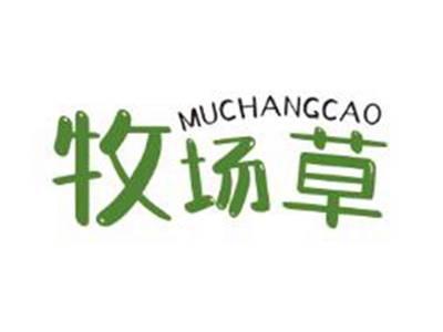 牧场草