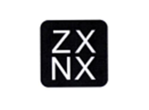 ZXNX