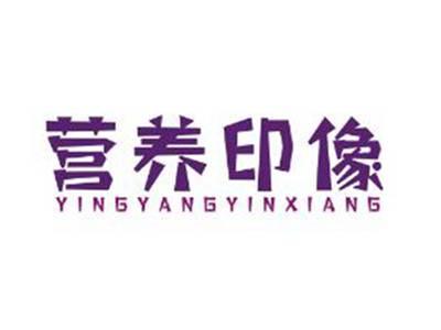 营养印像