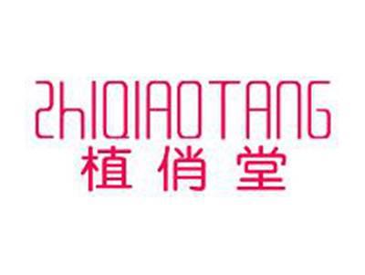 植俏堂ZHIQIAOTANG
