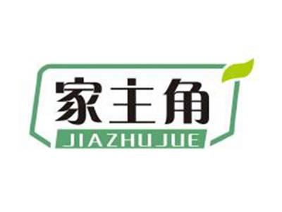 家主角