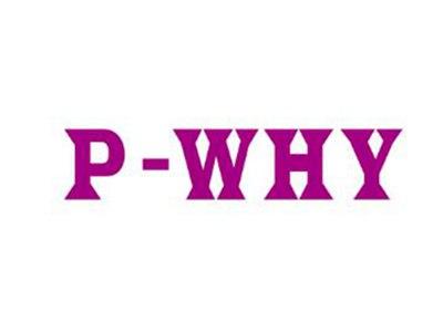 P-WHY