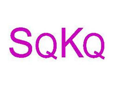 SQKQ