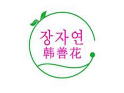 韩善花