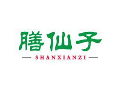 膳仙子
