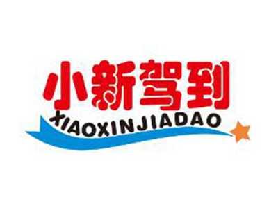 小新驾到