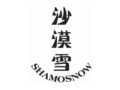 沙漠雪