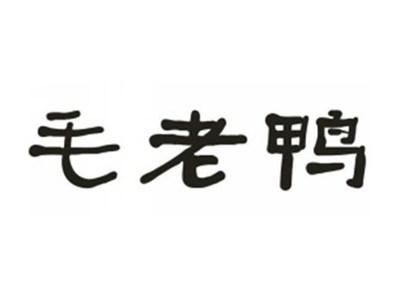 毛老鸭