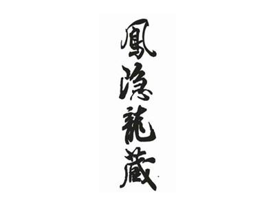 凤隐龙藏