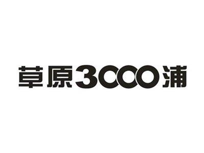 草原3000浦