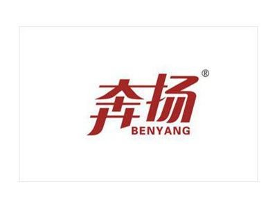 奔扬