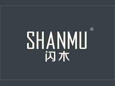 闪木
