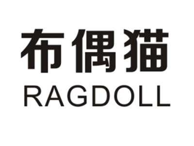 布偶猫 RAGDOLL