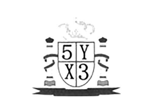 5YX3