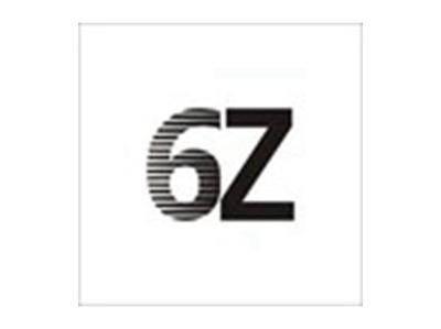 6Z