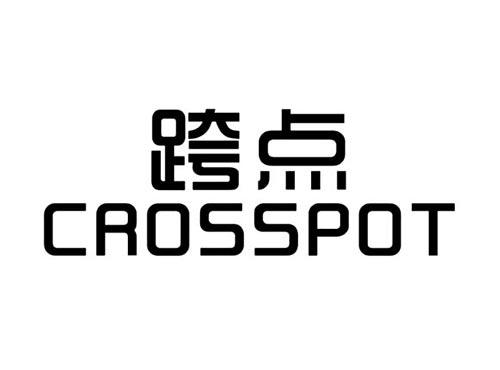 跨点CROSSPOT