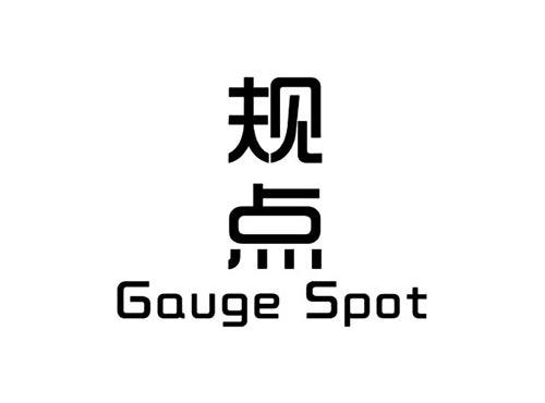 规点GAUGESPOT